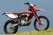 2008 Beta RR 4T 450 photo